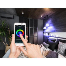 AMPOULE RGB WIFI SMART - BLANC FROID & BLANC CHAUD - E27 - A60