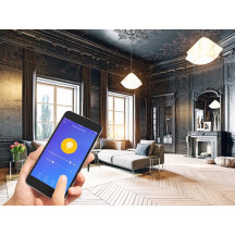 AMPOULE LED WIFI SMART - BLANC CHAUD & BLANC CHAUD INTENSE - E27 - G95