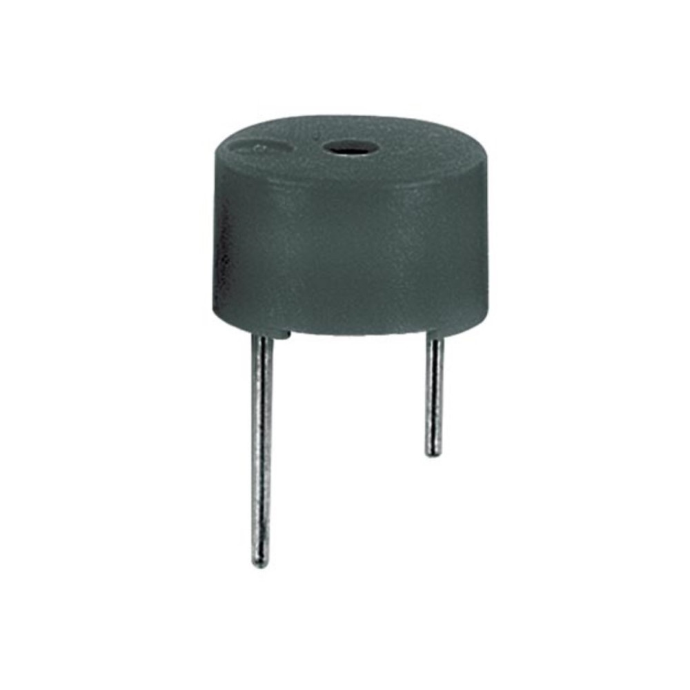 MICRO BUZZER 5Vcc TYPE CI - SCELLE