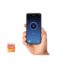 ENSEMBLE DE COMMANDE RF À 2 CANAUX AVEC IOT TUYA
