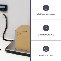 Balance postale numérique avec affichage externe - 100 kg / 10 g