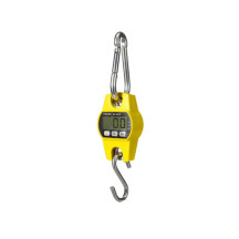 BALANCE À GRUE NUMÉRIQUE - CHARGES LOURDES - 300 kg / 300 g