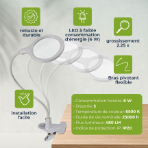 Lampe de bureau LED avec col de cygne et pince de fixation - 5 dioptries - 6 W