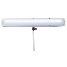Lampe de bureau LED avec loupe - 21 W - intensité réglable - blanche