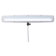 Lampe de bureau LED avec loupe - 21 W - intensité réglable - blanche