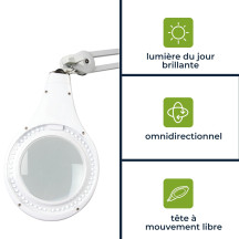 Lampe de bureau LED avec loupe intégrée - 8 dioptries - 8 W