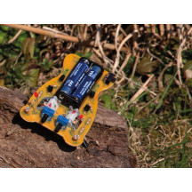 MICROBUG COUREUR