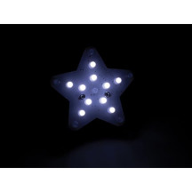ÉTOILE LUMINEUSE BLANCHE