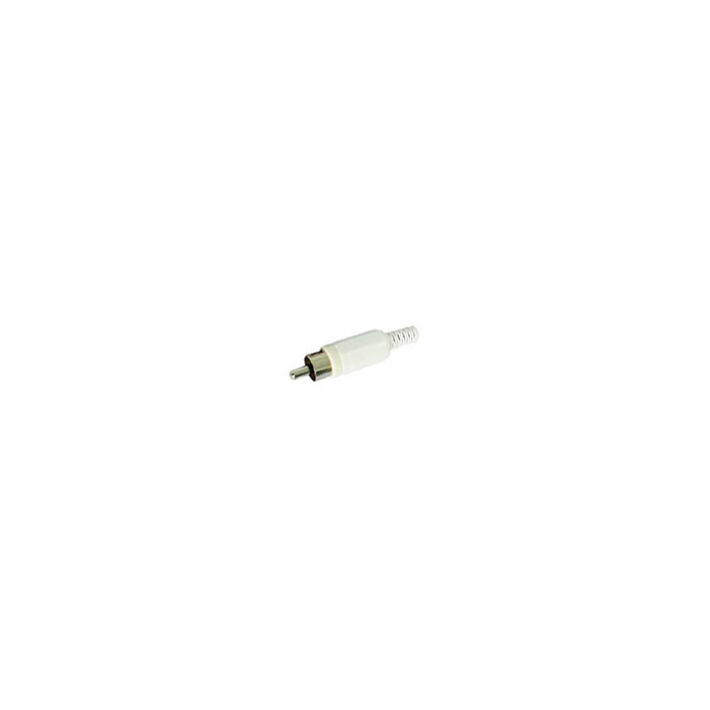 FICHE RCA MALE - BLANC