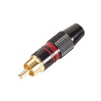 FICHE RCA MALE - DOREE - CAPOT NOIR - BAGUE ROUGE