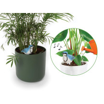 Ensemble comprenant 4 types d'alarmes de sol sec