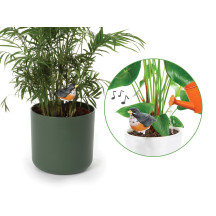 Ensemble comprenant 4 types d'alarmes de sol sec