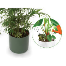 Ensemble comprenant 4 types d'alarmes de sol sec