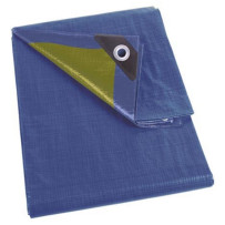Bâche - bleu/vert - standard - 2 x 4 m
