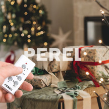 JEU DE PRISES AVEC TÉLÉCOMMANDE (3 PRISES + TÉLÉCOMMANDE)
