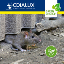 Défendez les souris et les rats par ultrasons - à l'intérieur et à l'extérieur