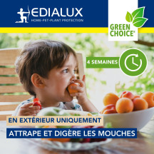 Piège à mouches facilement réutilisable