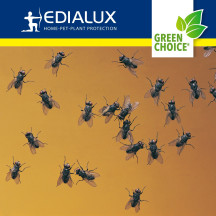 Piège à mouches Green Choice avec appât 20000