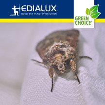 Green Choice - piège à mites, 2 pièces