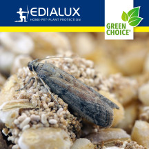 Green Choice - piège à mites alimentaires, 2 pièces
