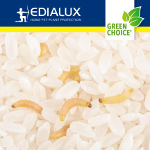 Green Choice - piège à mites alimentaires, 2 pièces