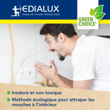 Green Choice - attrape-mouches, 4 pièces