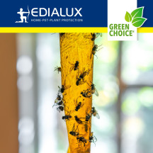 Green Choice - attrape-mouches, 4 pièces