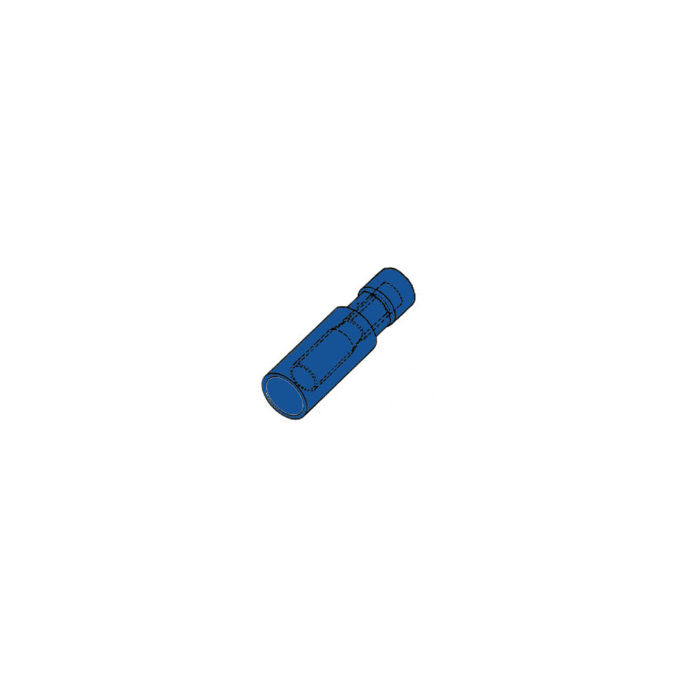 COSSE CYLINDRIQUE FEMELLE BLEUE