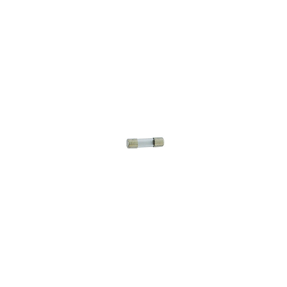 FUSIBLE 20mm RETARDE 20A (10pcs/boîte)