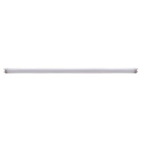 LAMPE UV 10 W POUR TUE-INSECTES