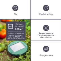 Anti-taupes solaire