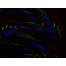 GANTS LUMINEUX LED