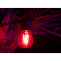 Guirlande lumineuse LED festive - 20 douilles E27 - sans ampoules - 10 m