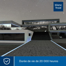 Flexible lumineux à LED - 9 m - blanc froid