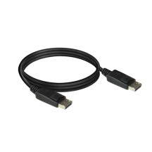 Câble DisplayPort - 2 m