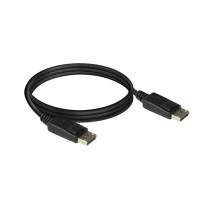 Câble DisplayPort - 2 m