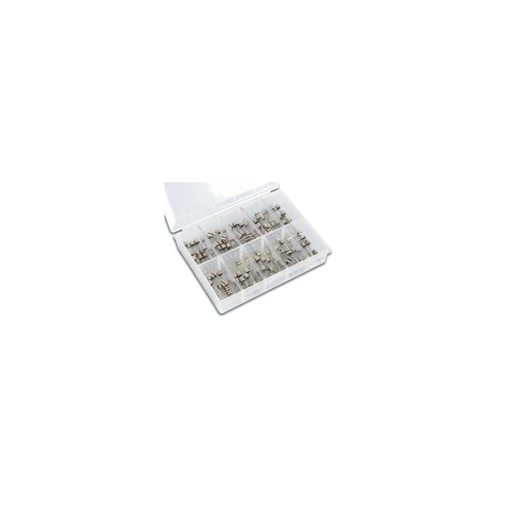 JEU DE FUSIBLES - LENTS - 100 pcs - 5 x 20 mm