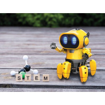 TOBBIE LE ROBOT