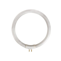 Tube fluorescent circulaire 12W/T4 pour VTLAMP10