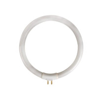 Tube fluorescent circulaire 12W/T4 pour VTLAMP10