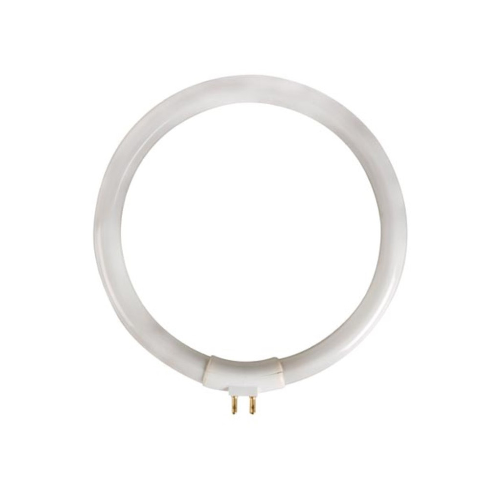 Tube fluorescent circulaire 12W/T4 pour VTLAMP10