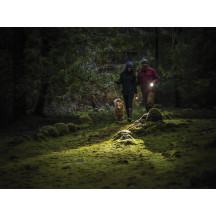 Coast - slayer pro - lampe torche rechargeable, 1150 lumens