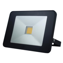 PROJECTEUR LED DESIGN AVEC DÉTECTEUR DE MOUVEMENT - 50 W, BLANC NEUTRE