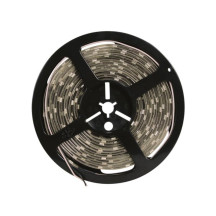 FLEXIBLE LED - BLANC CHAUD - 600 LED - 5 m - 24 V