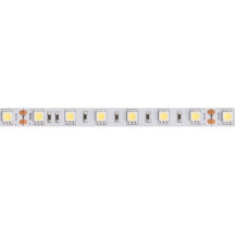 FLEXIBLE LED - BLANC FROID - 300 LEDs - 5 m - 24 V