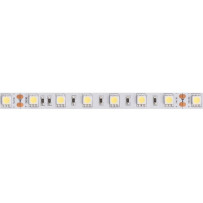 FLEXIBLE LED - BLANC FROID - 300 LEDs - 5 m - 24 V