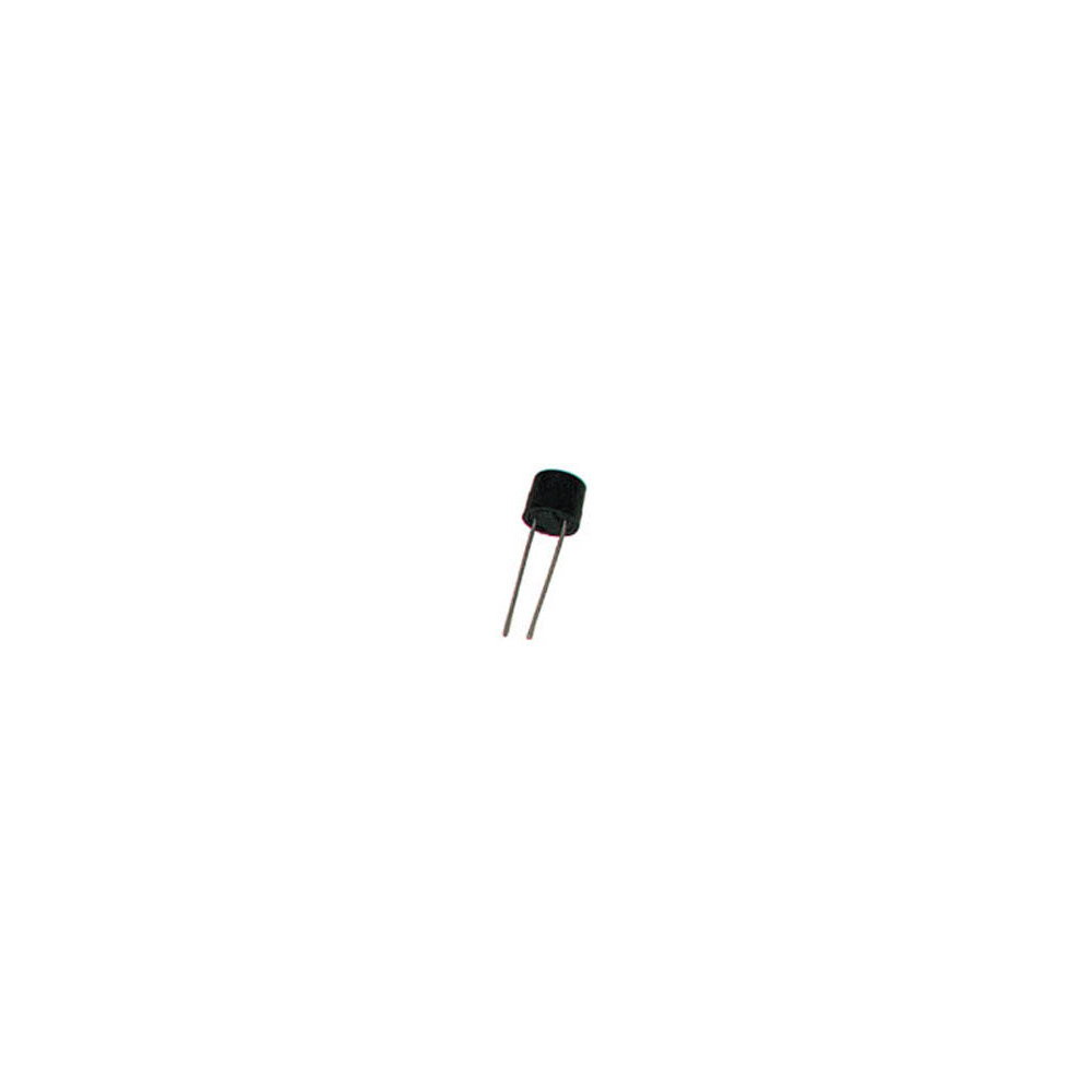 MICROFUSIBLE RAPIDE 0.05A